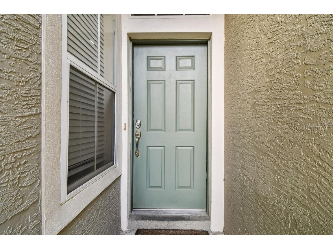 3331 Covered Bridge Drive E Dunedin FL 34698 TB8448537 image8