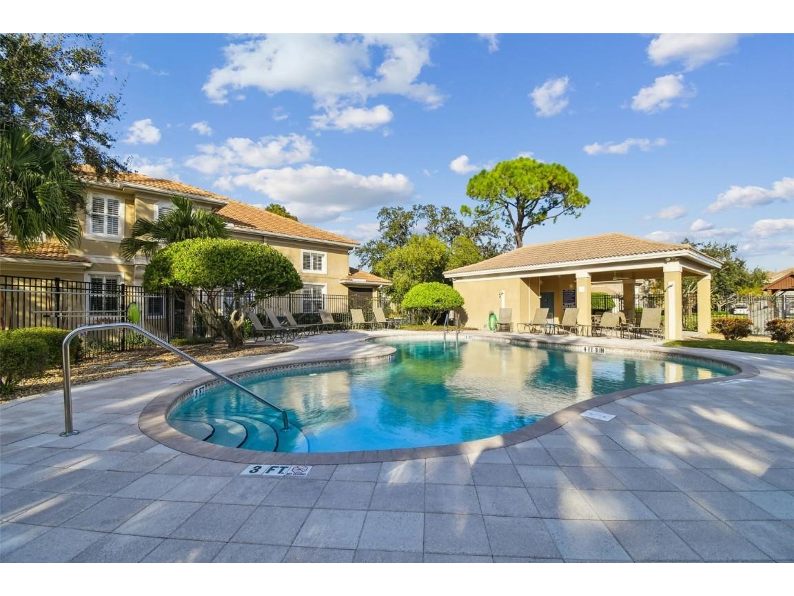 3331 Covered Bridge Drive E Dunedin FL 34698 TB8448537 image84