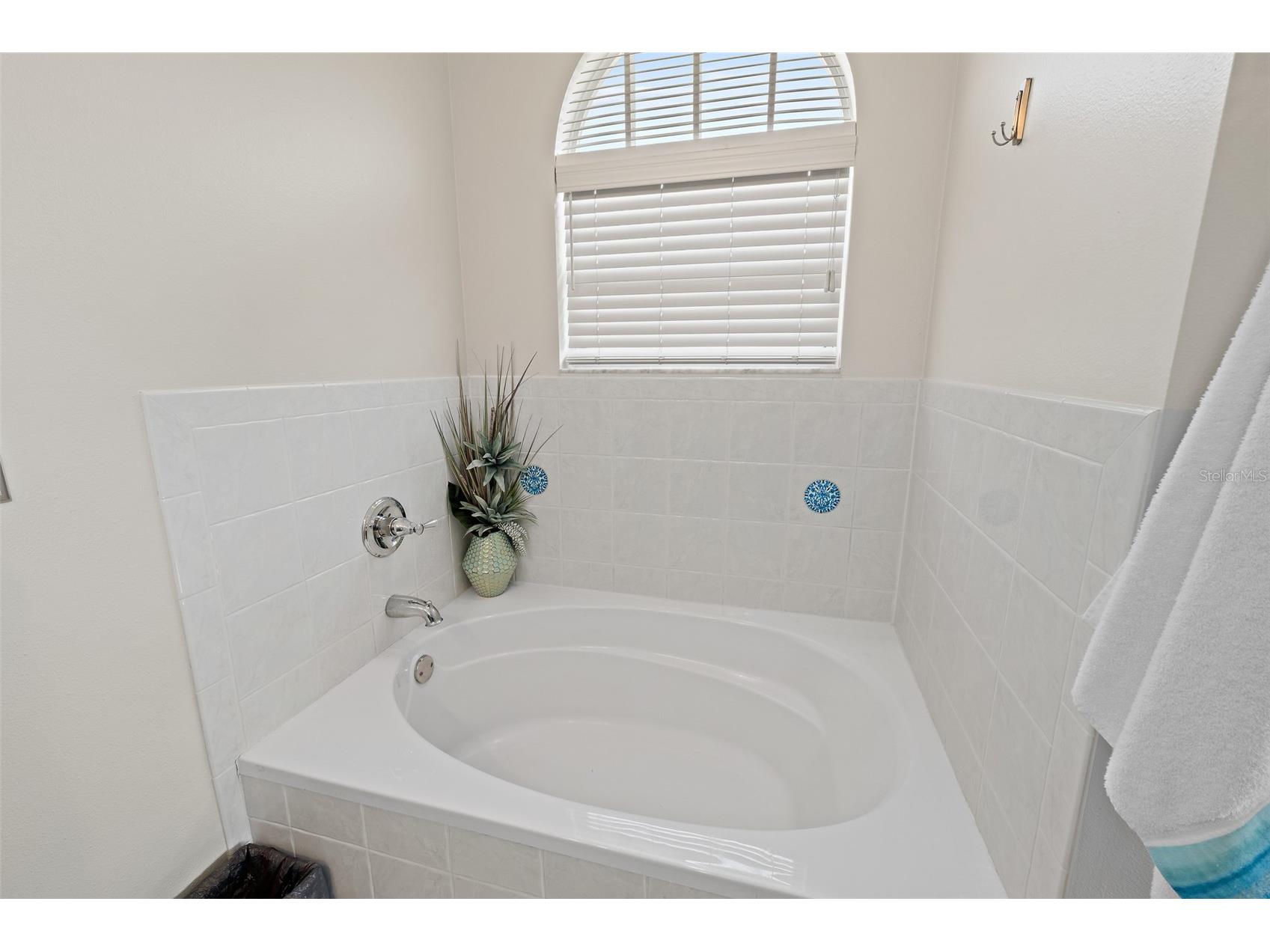 3331 Craggy Bluff Place Cocoa FL 32926 O6391743 image19