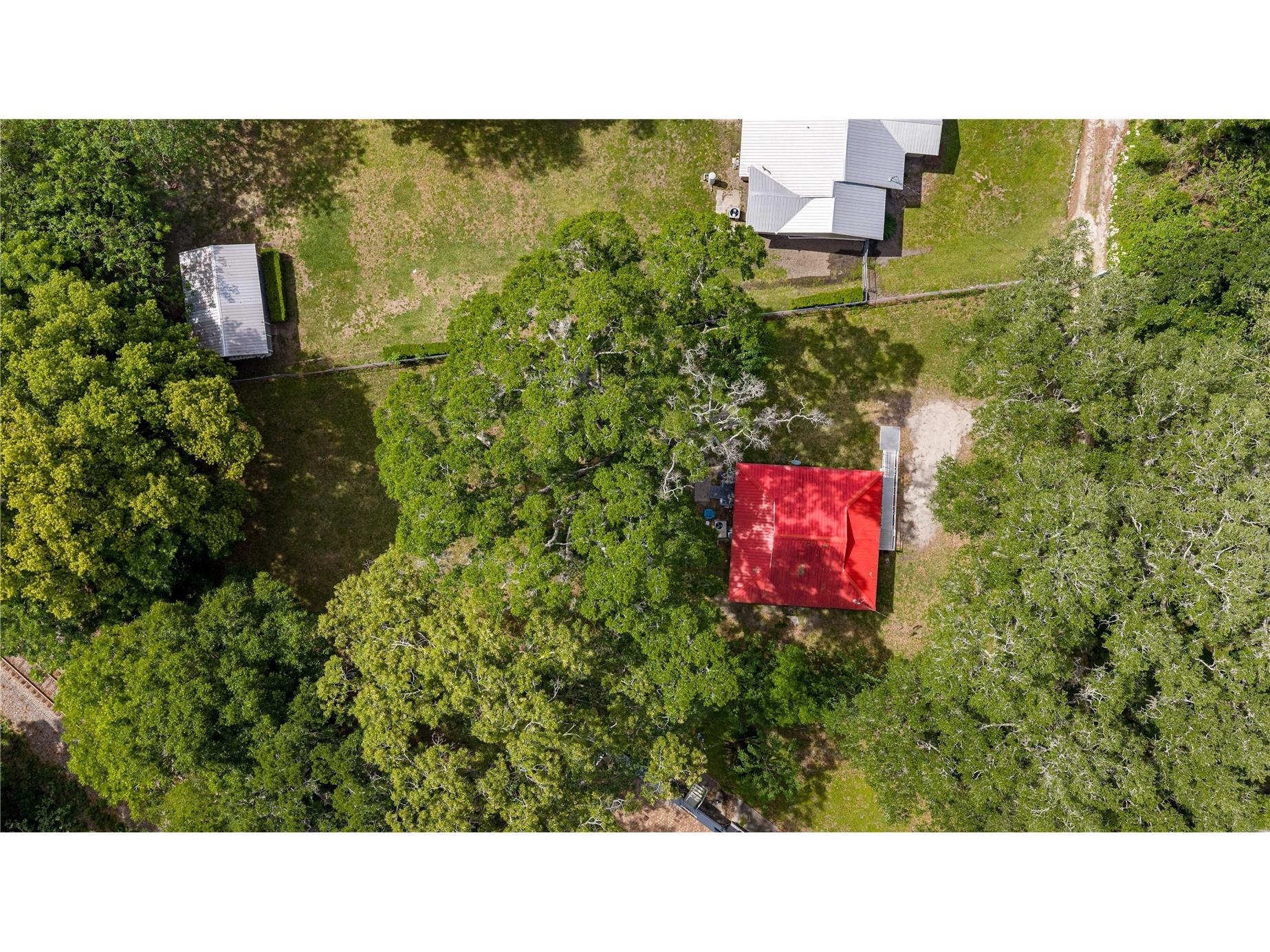 3331 SE 11th Avenue Ocala FL 34471 OM722676 image4