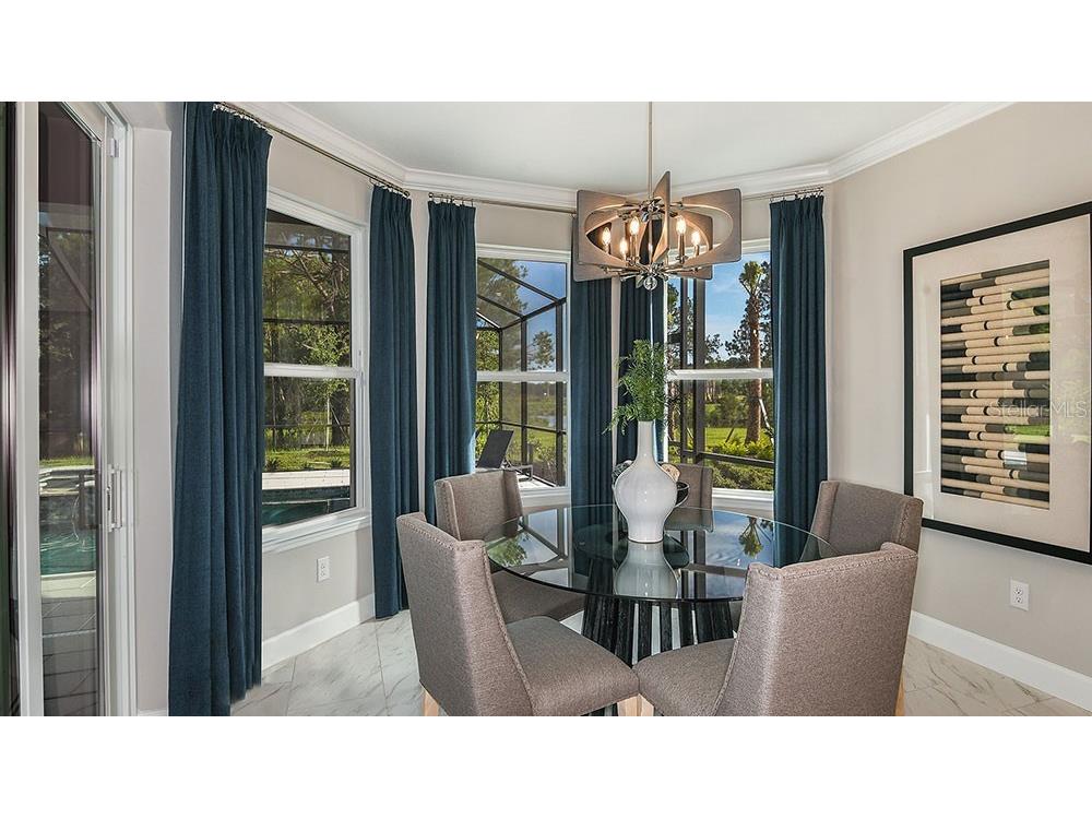 33314 Castaway Loop Wesley Chapel FL 33543 O6370316 image12