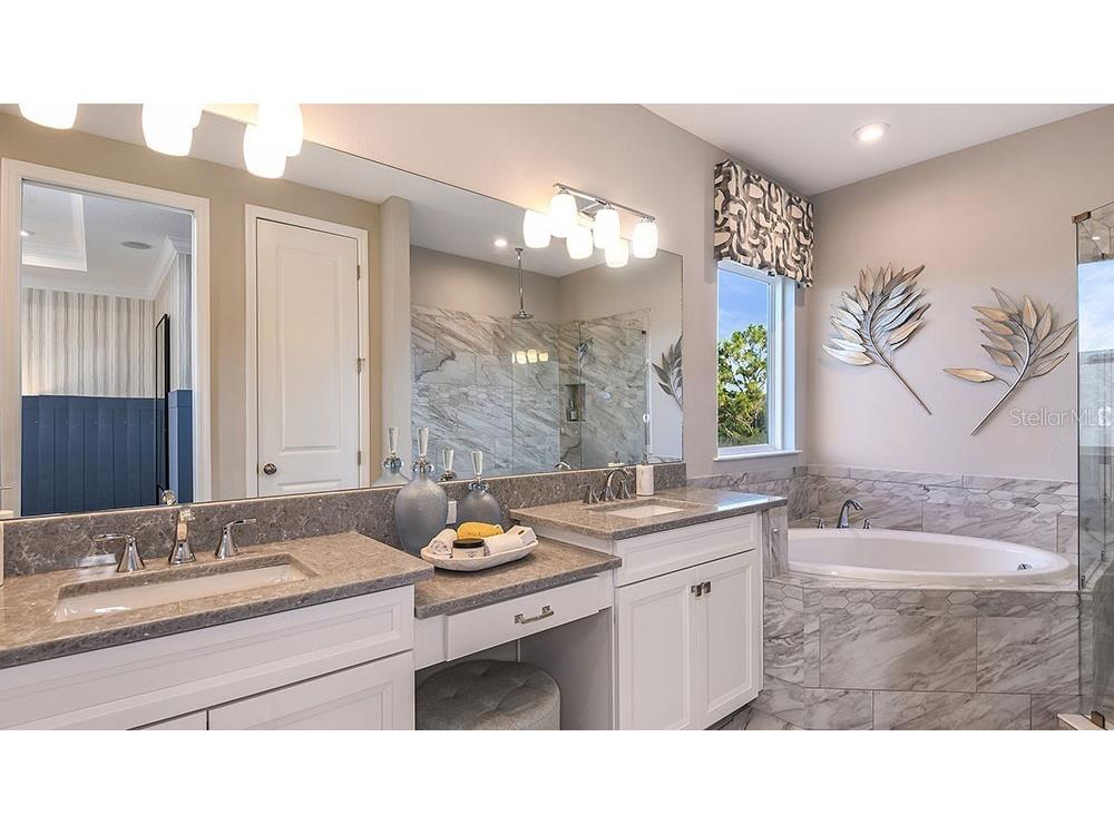 33314 Castaway Loop Wesley Chapel FL 33543 O6370316 image24