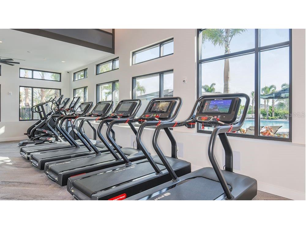 33314 Castaway Loop Wesley Chapel FL 33543 O6370316 image39