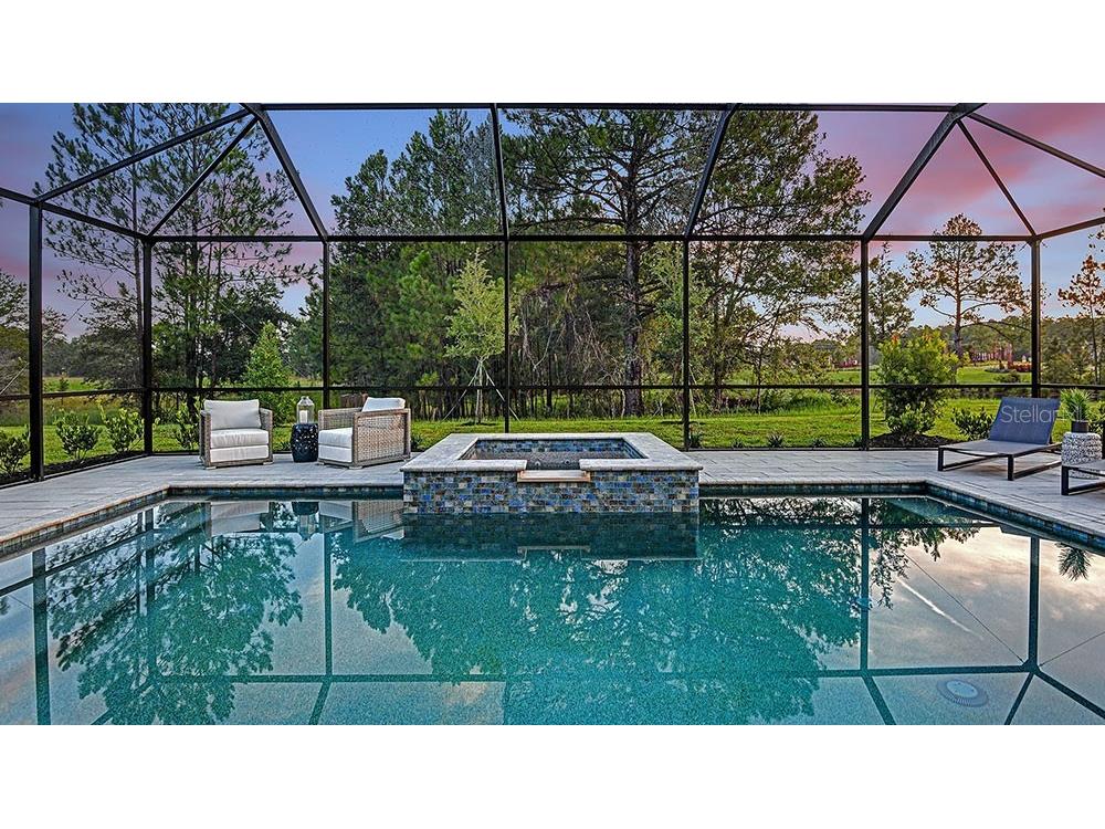 33314 Castaway Loop Wesley Chapel FL 33543 O6370316 image4