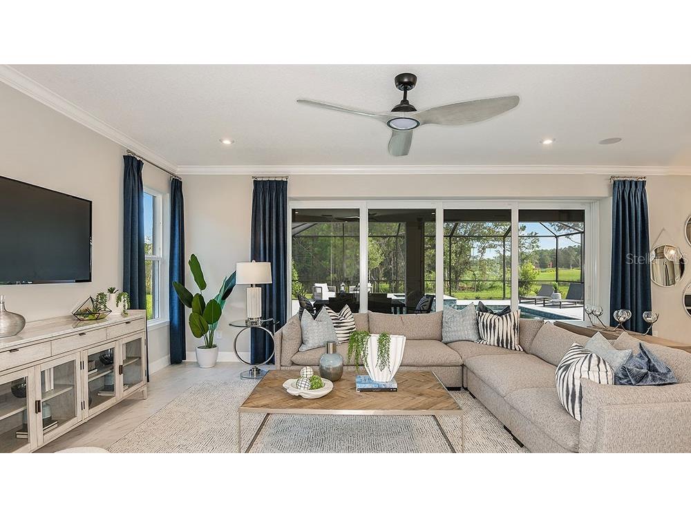 33314 Castaway Loop Wesley Chapel FL 33543 O6370316 image8