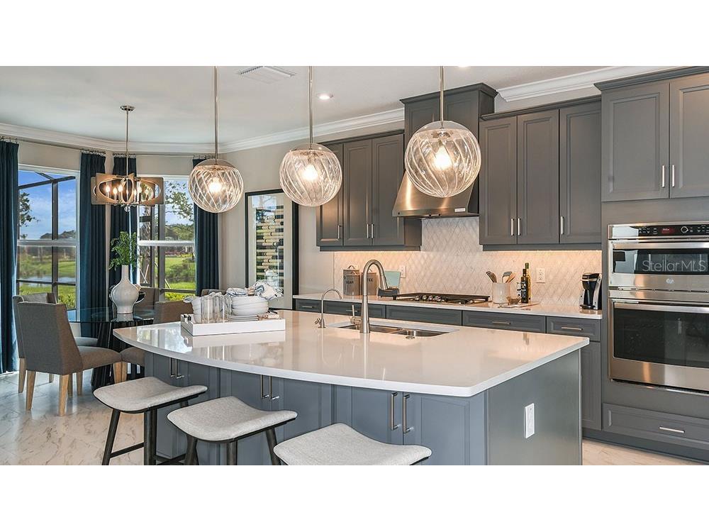 33314 Castaway Loop Wesley Chapel FL 33543 O6370316 image9