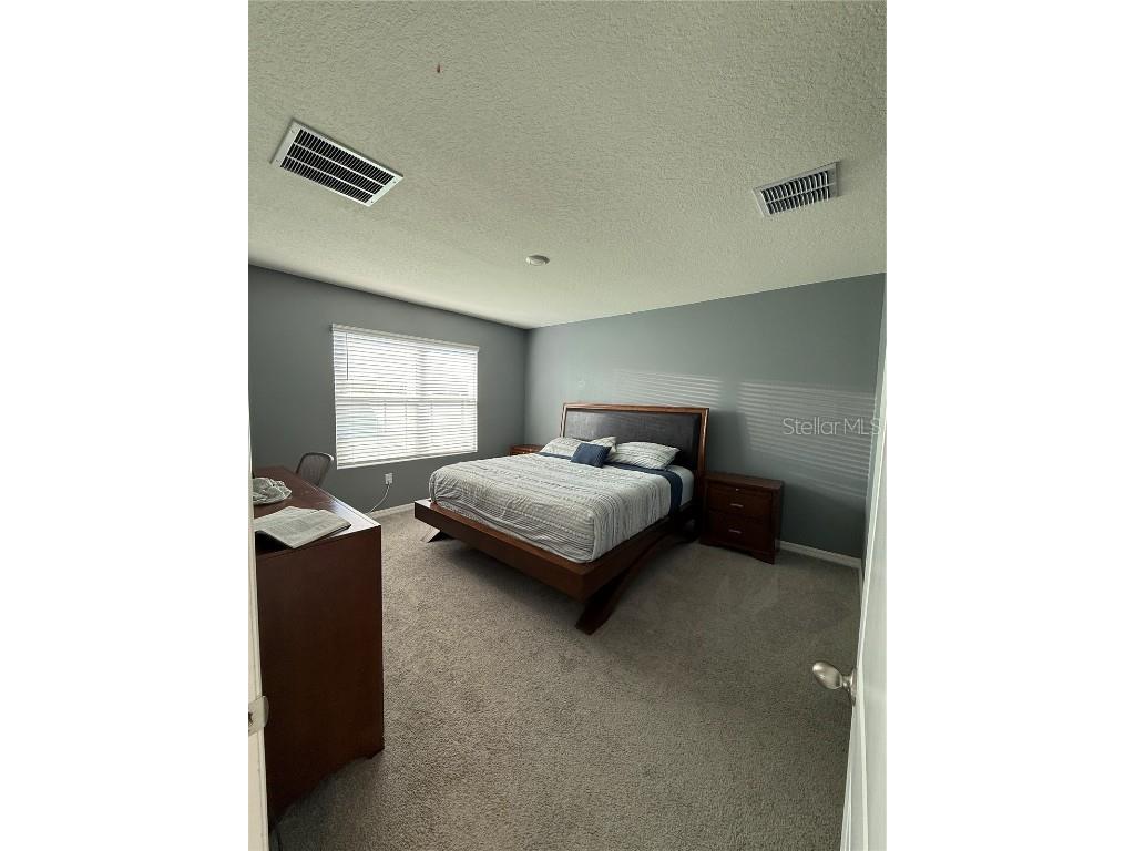 33318 Hamilton Hill Ln Wesley Chapel FL 33545 TB8451174 image12