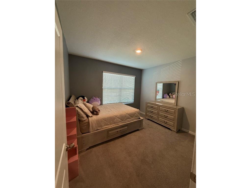 33318 Hamilton Hill Ln Wesley Chapel FL 33545 TB8451174 image13