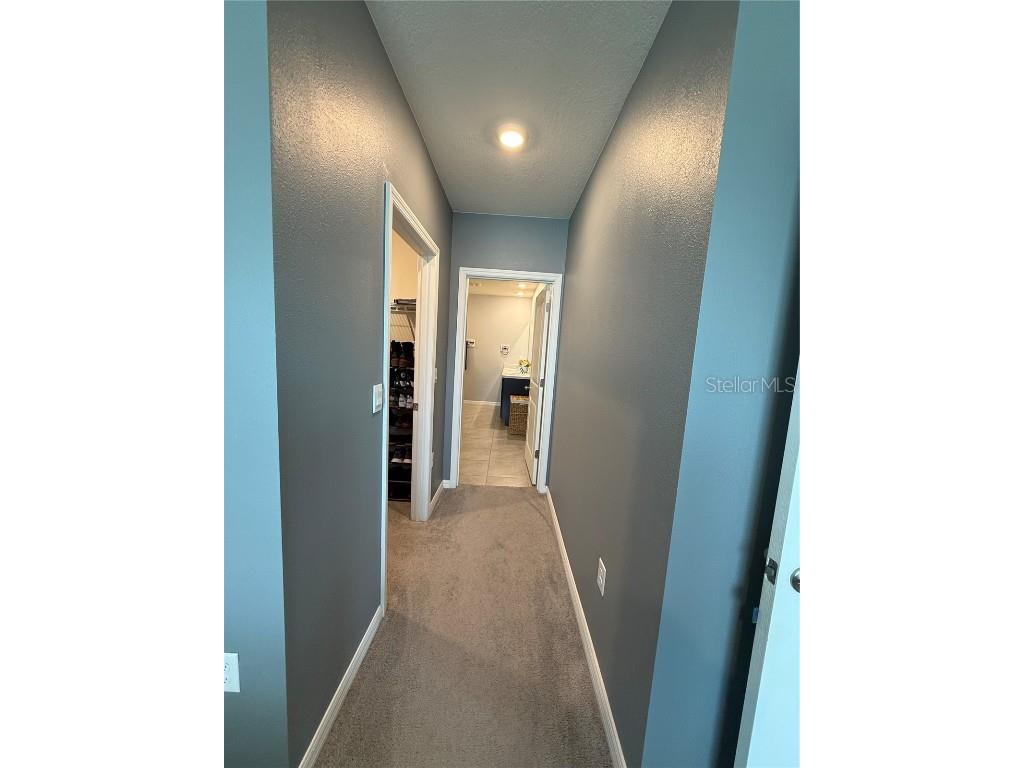 33318 Hamilton Hill Ln Wesley Chapel FL 33545 TB8451174 image16