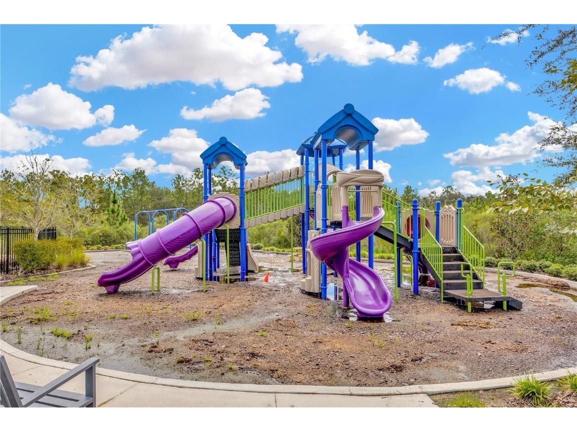 33318 Hamilton Hill Ln Wesley Chapel FL 33545 TB8451174 image27