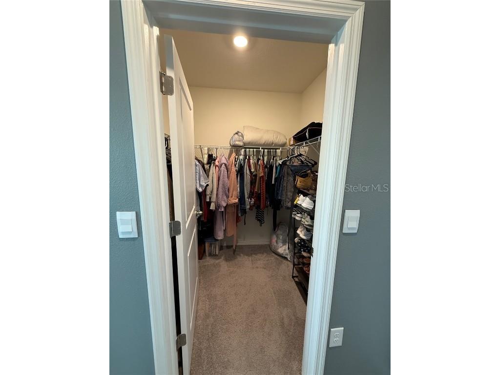 33318 Hamilton Hill Ln Wesley Chapel FL 33545 TB8451176 image17