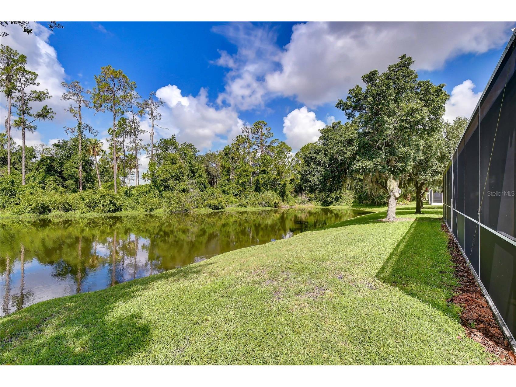 3332 Chapel Creek Circle Wesley Chapel FL 33544 TB8525254 image3