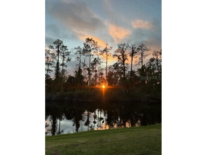 3332 Chapel Creek Circle Wesley Chapel FL 33544 TB8525254 image4