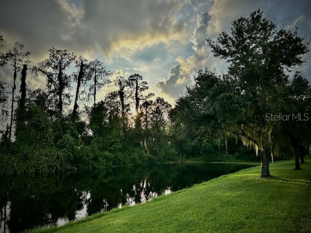 3332 Chapel Creek Circle Wesley Chapel FL 33544 TB8525254 image45