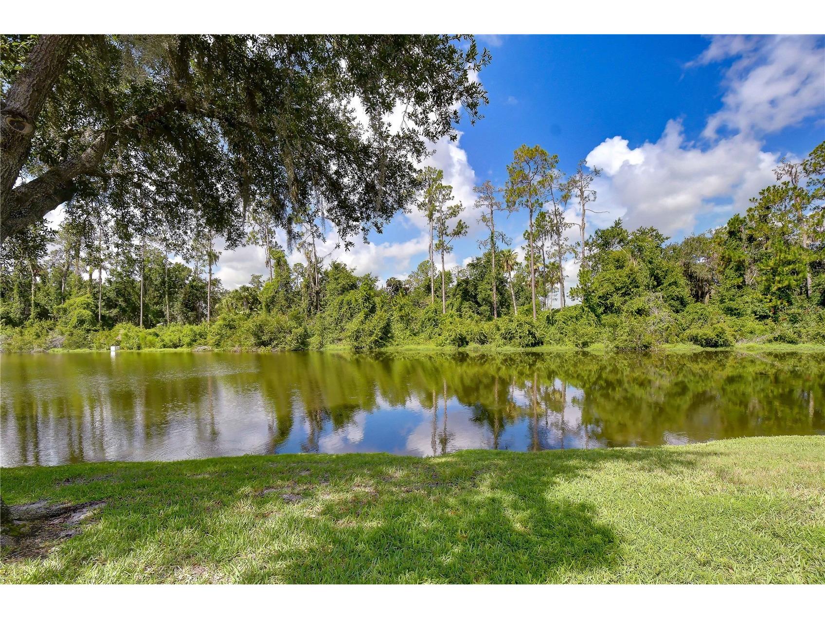 3332 Chapel Creek Circle Wesley Chapel FL 33544 TB8525254 image47