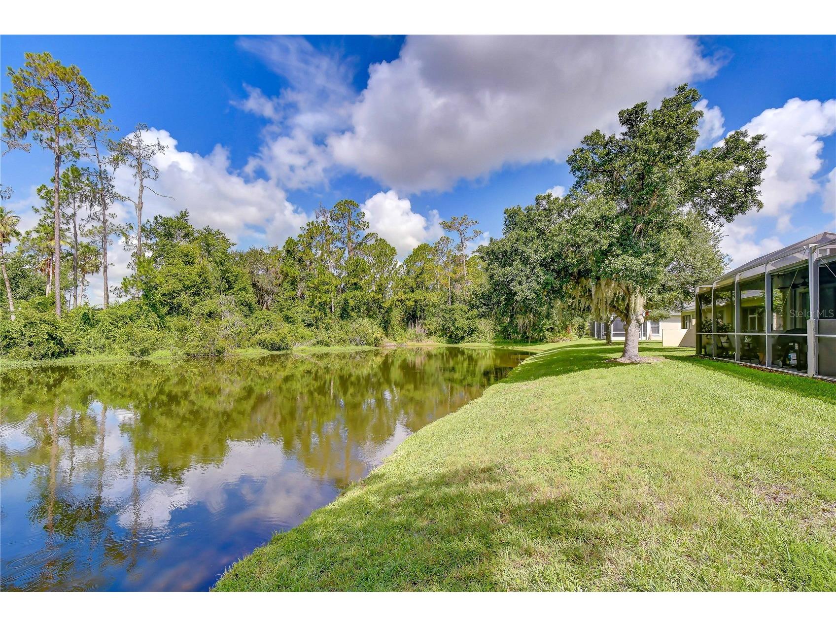 3332 Chapel Creek Circle Wesley Chapel FL 33544 TB8525254 image48