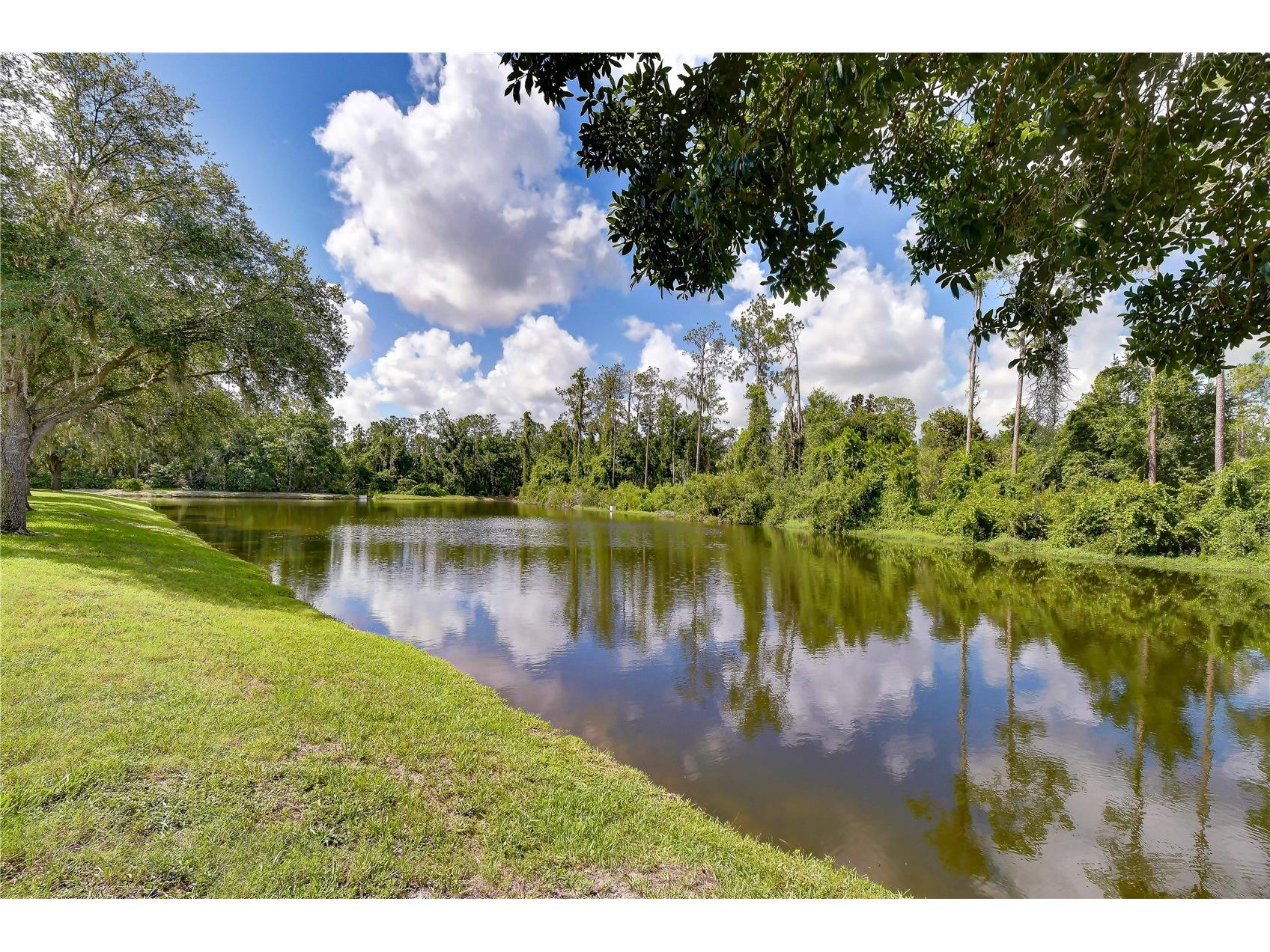 3332 Chapel Creek Circle Wesley Chapel FL 33544 TB8525254 image49