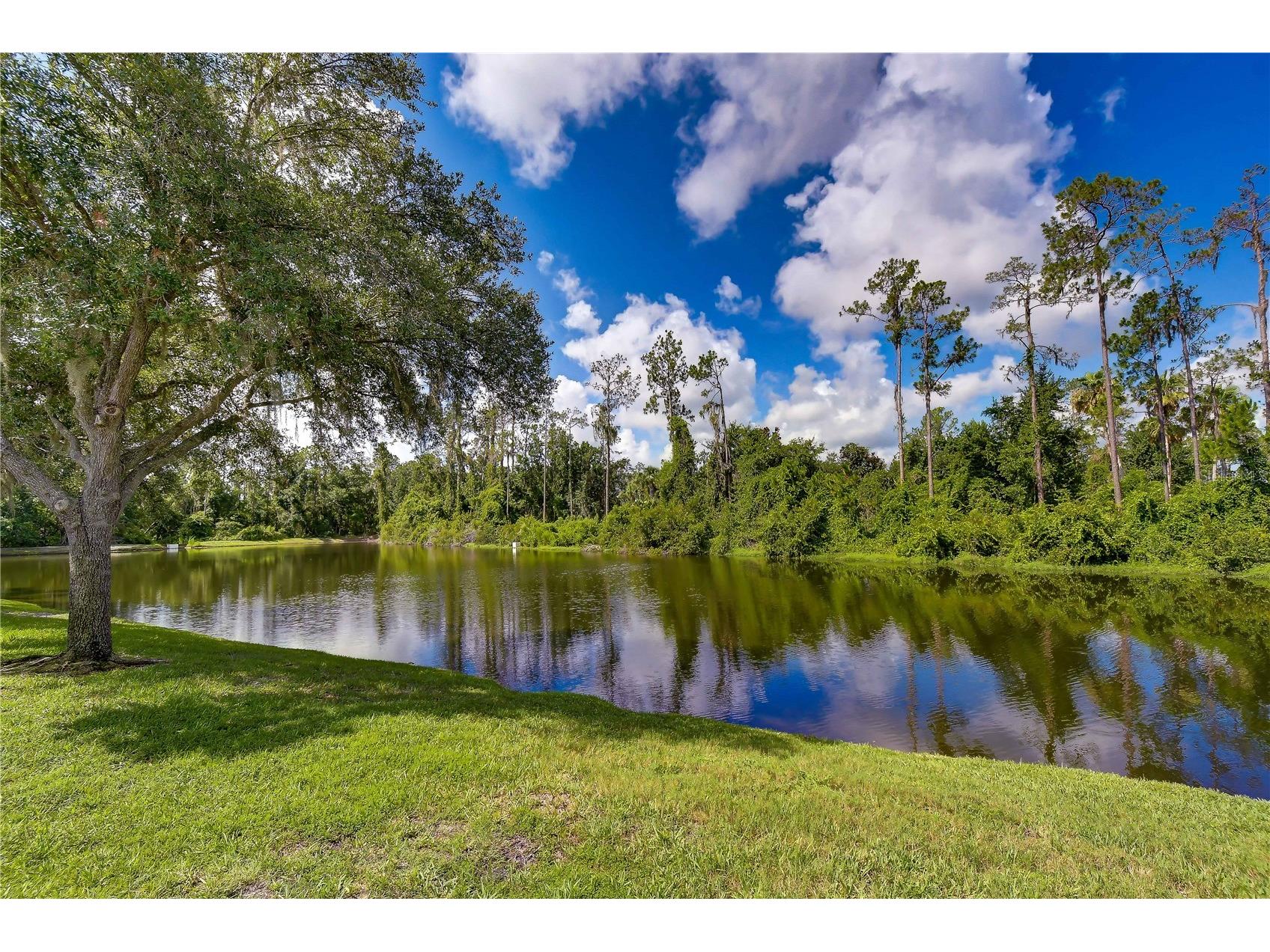 3332 Chapel Creek Circle Wesley Chapel FL 33544 TB8525254 image50