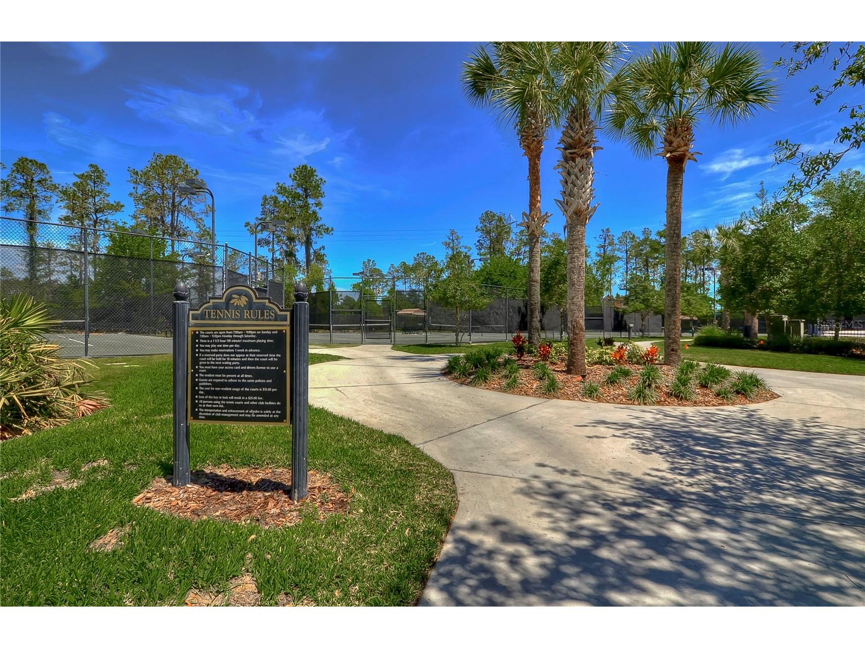 3332 Chapel Creek Circle Wesley Chapel FL 33544 TB8525254 image56