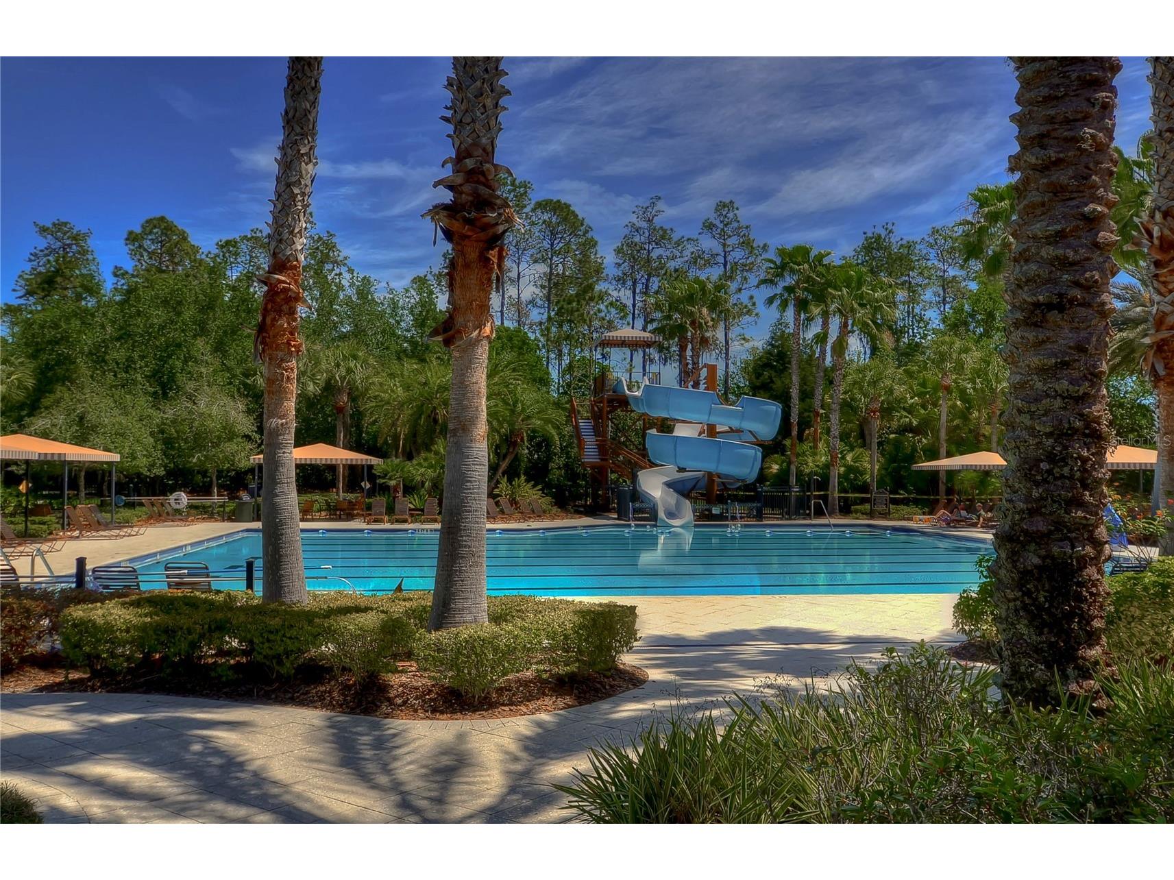 3332 Chapel Creek Circle Wesley Chapel FL 33544 TB8525254 image58