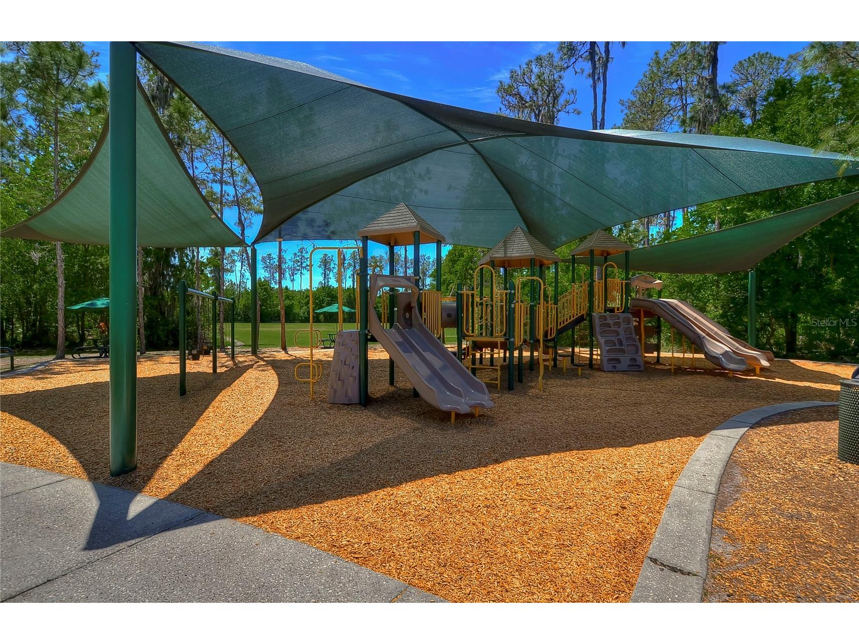 3332 Chapel Creek Circle Wesley Chapel FL 33544 TB8525254 image62
