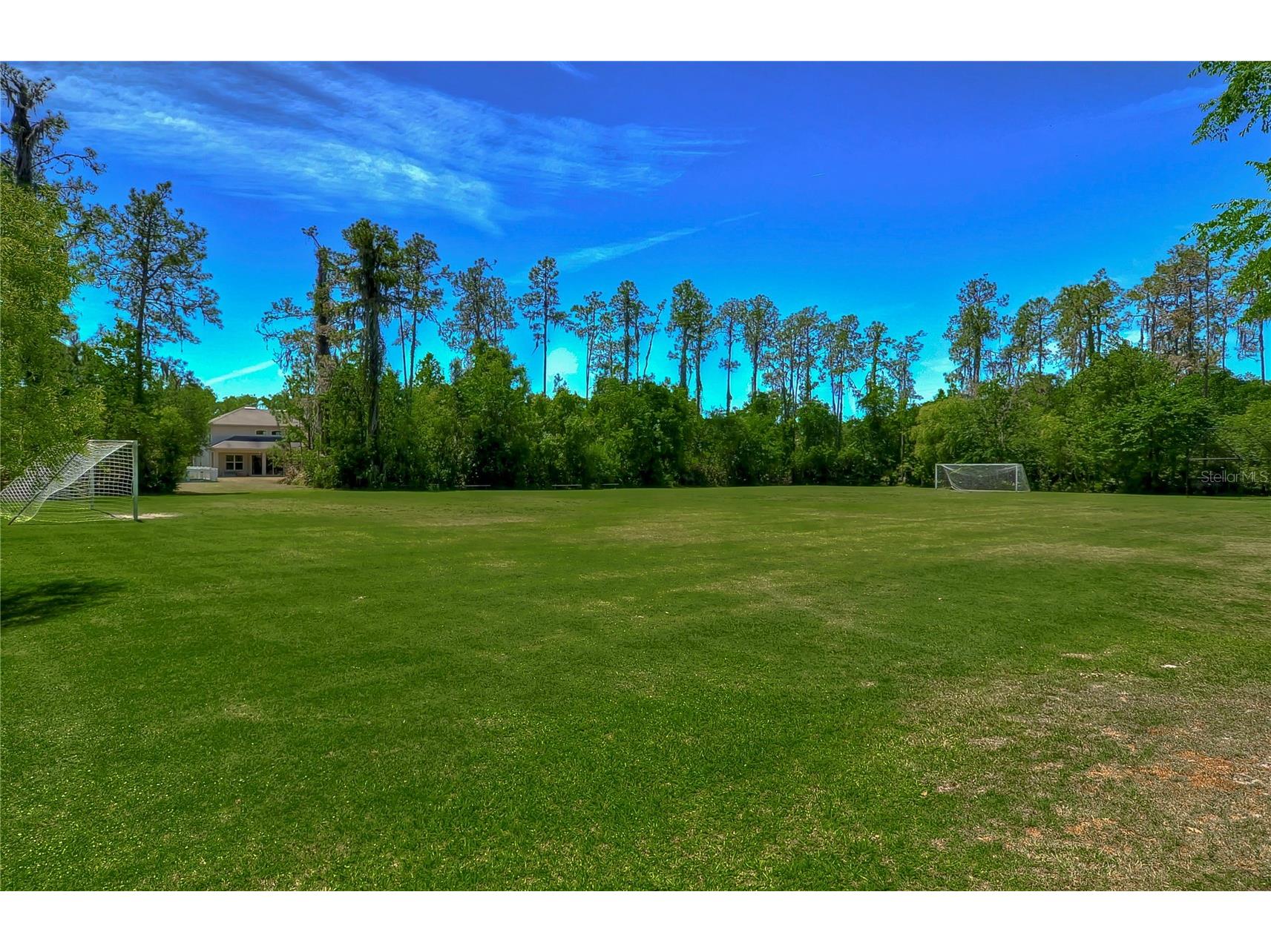 3332 Chapel Creek Circle Wesley Chapel FL 33544 TB8525254 image65