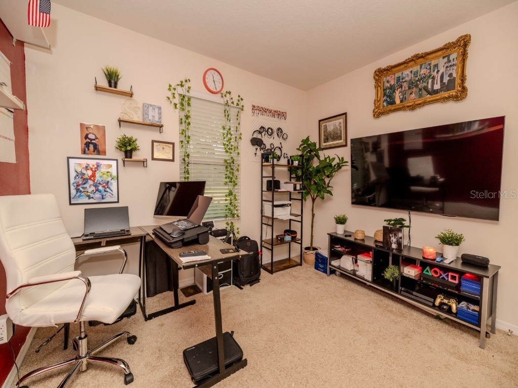 3332 Logan Berry Drive Mount Dora FL 32757 O6344421 image19