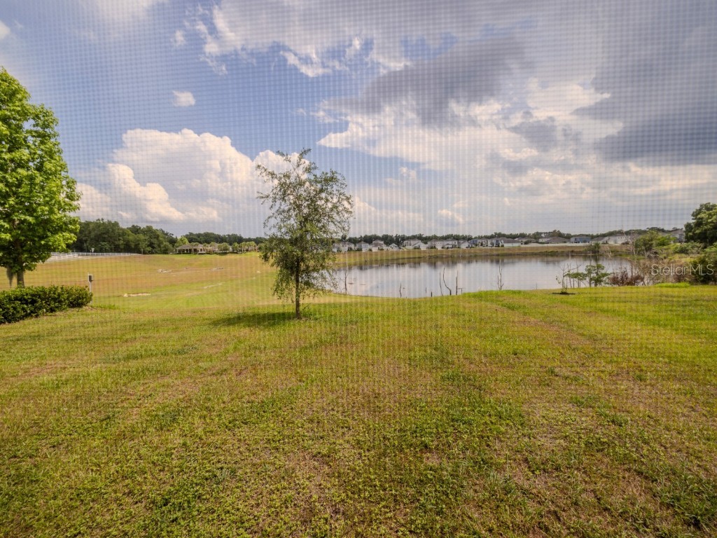 3332 Logan Berry Drive Mount Dora FL 32757 O6344421 image22