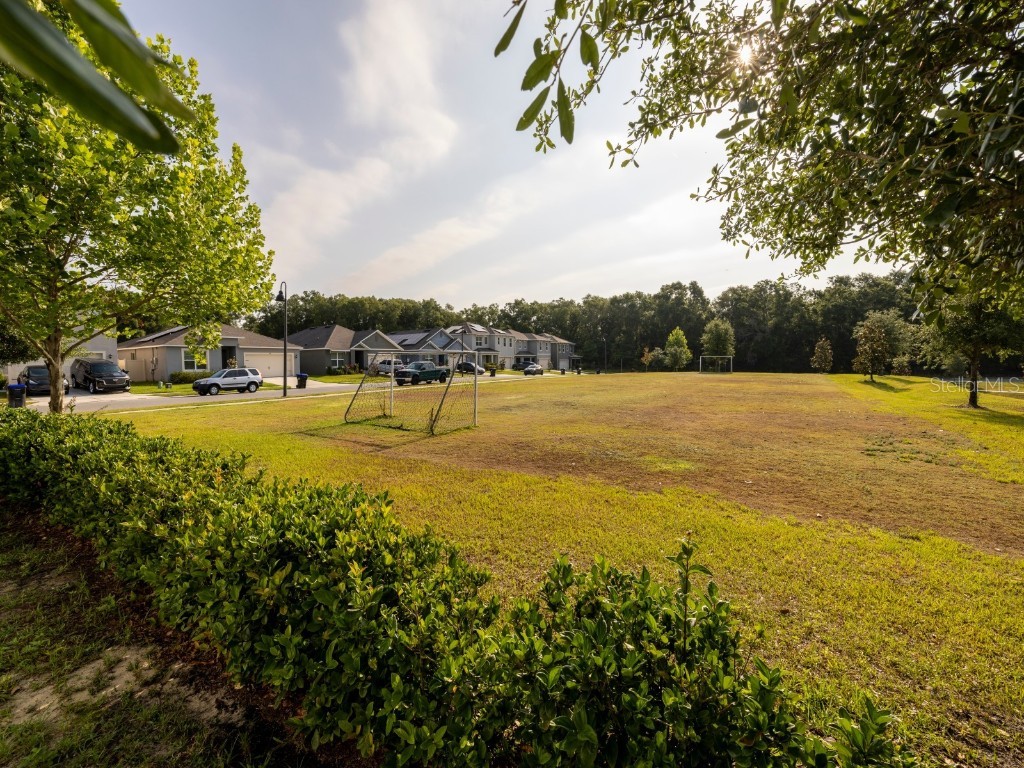 3332 Logan Berry Drive Mount Dora FL 32757 O6344421 image23