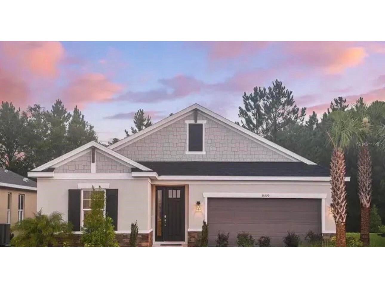 33320 Castaway Loop Wesley Chapel FL 33543 O6410180 image1