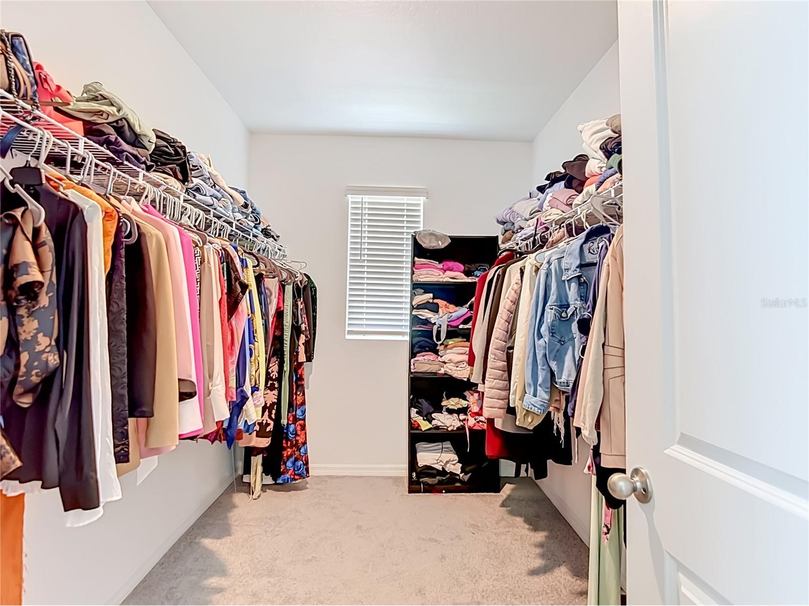 33327 Darley Dale Trail Wesley Chapel FL 33545 TB8517166 image47