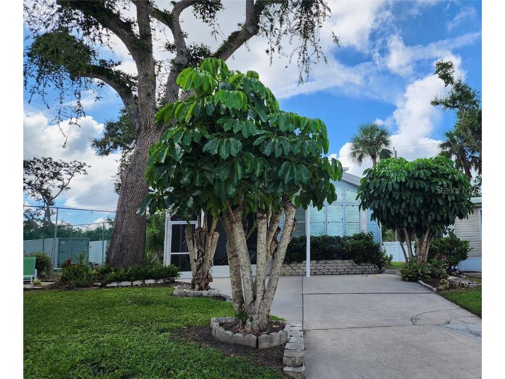 3333 26th Avenue E #4 Bradenton FL 34208 A4664506 image33