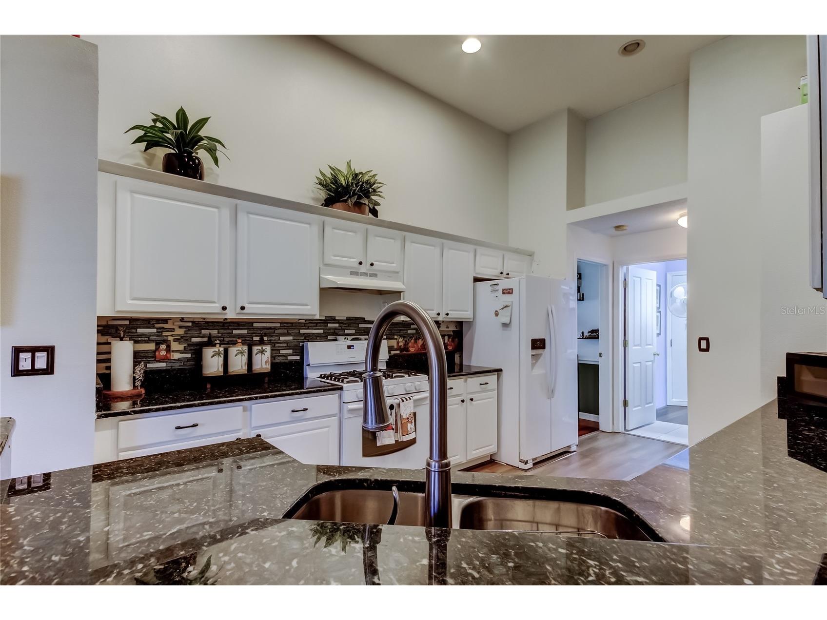 3333 Brenford Place Land O Lakes FL 34638 - THE POND TB8466833 image17