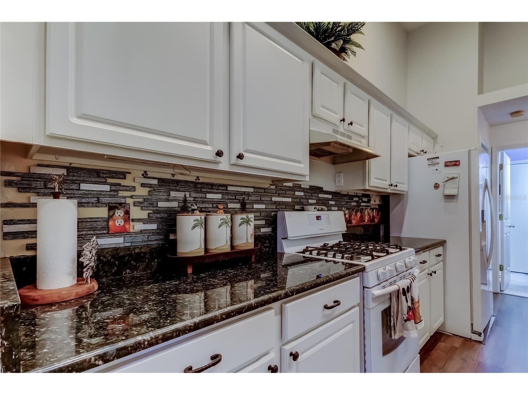 3333 Brenford Place Land O Lakes FL 34638 - THE POND TB8466833 image19