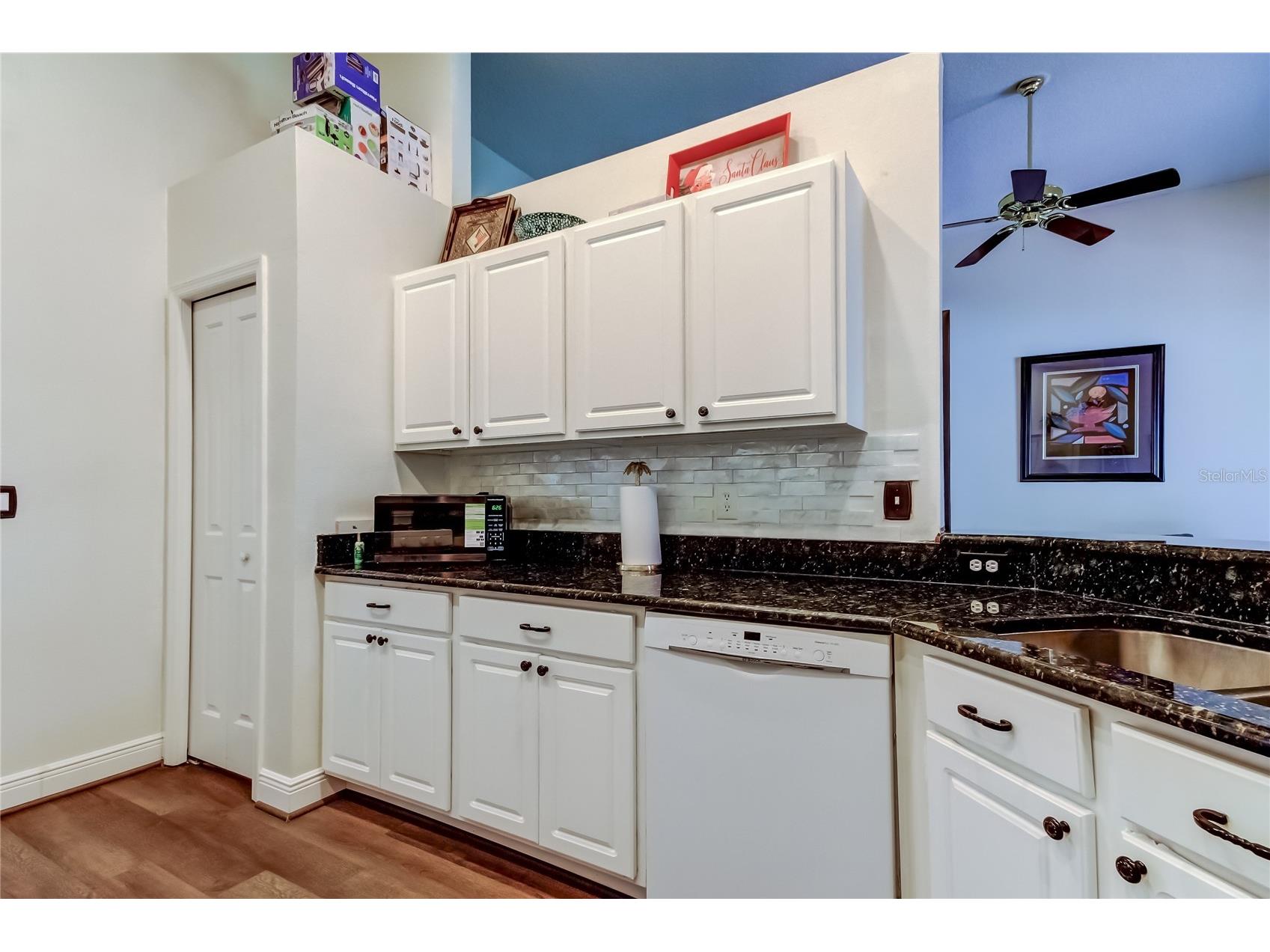 3333 Brenford Place Land O Lakes FL 34638 - THE POND TB8466833 image20