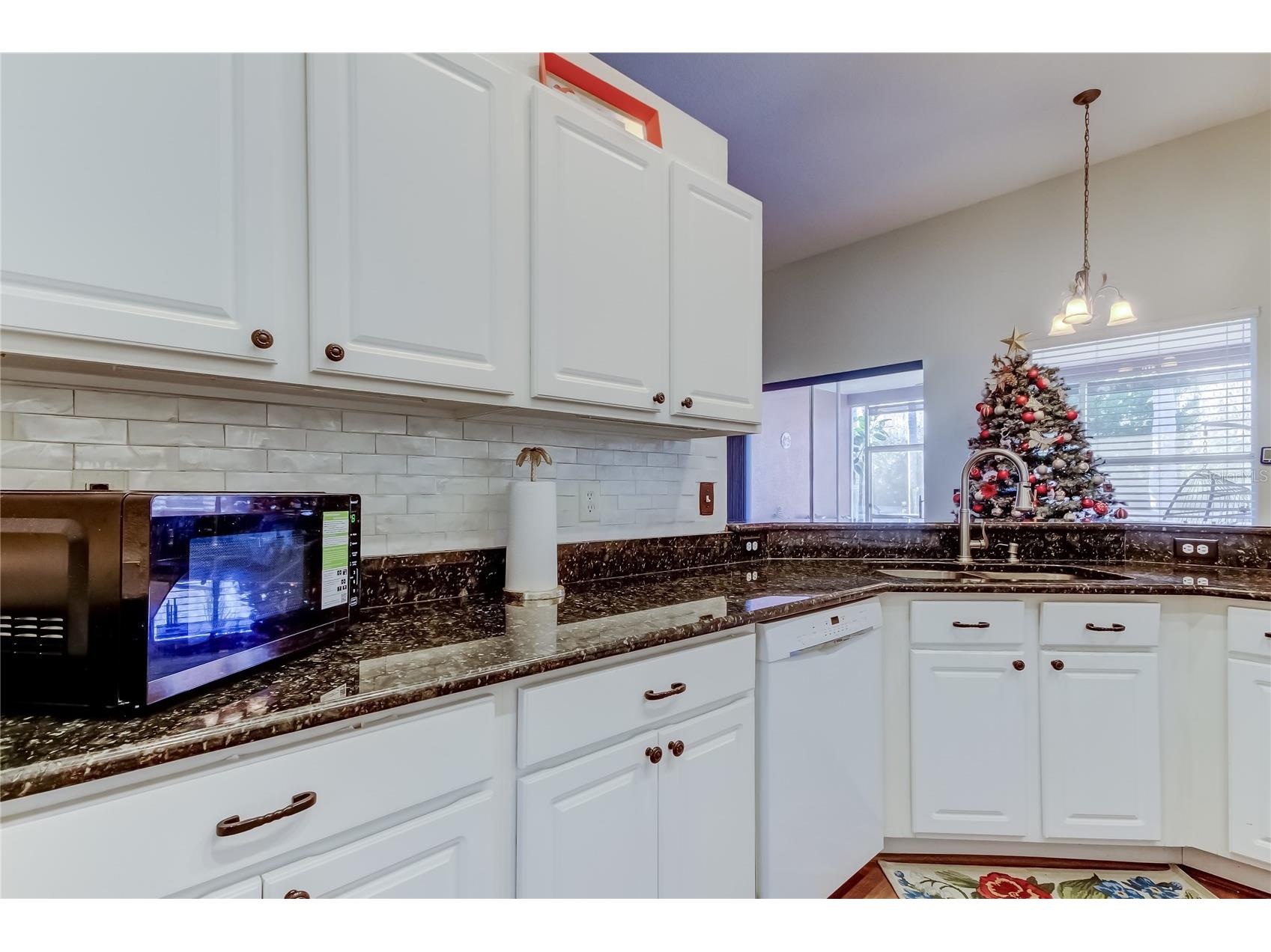 3333 Brenford Place Land O Lakes FL 34638 - THE POND TB8466833 image21