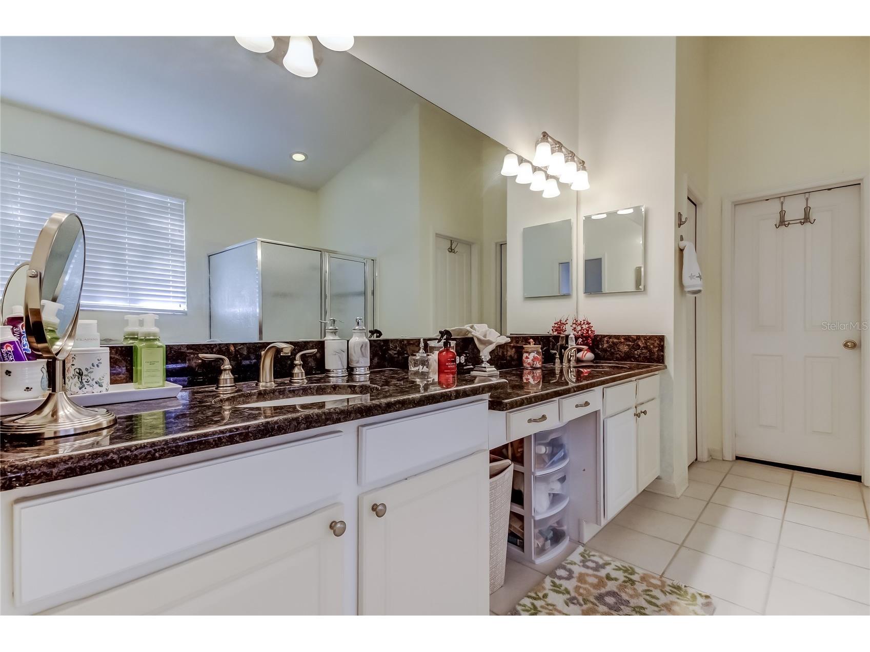 3333 Brenford Place Land O Lakes FL 34638 - THE POND TB8466833 image30
