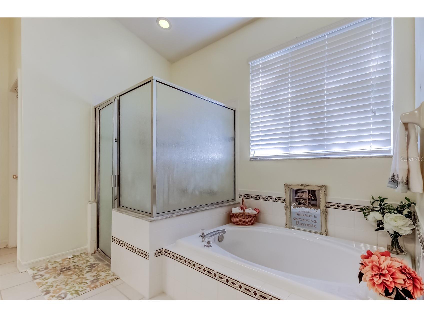 3333 Brenford Place Land O Lakes FL 34638 - THE POND TB8466833 image31