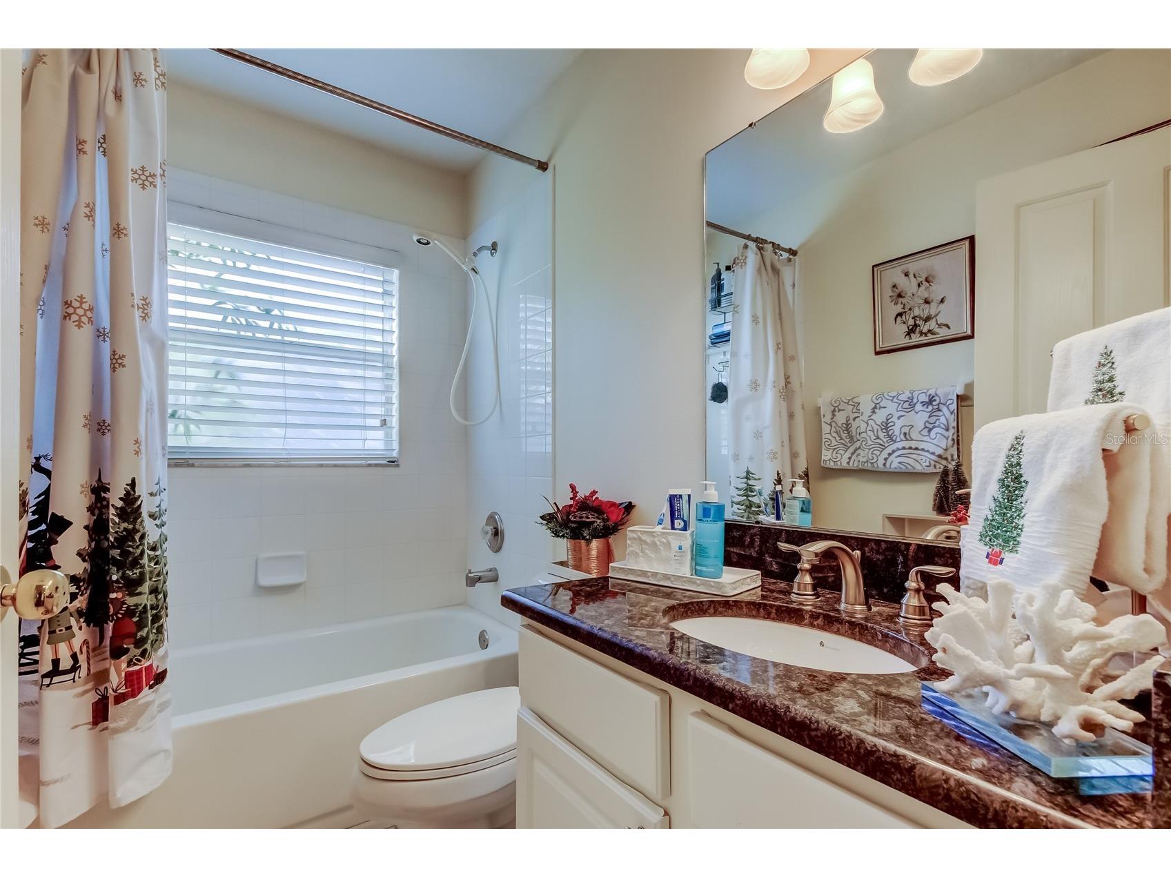 3333 Brenford Place Land O Lakes FL 34638 - THE POND TB8466833 image33