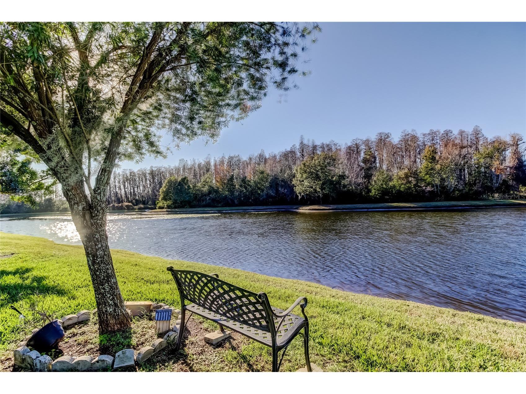3333 Brenford Place Land O Lakes FL 34638 - THE POND TB8466833 image56