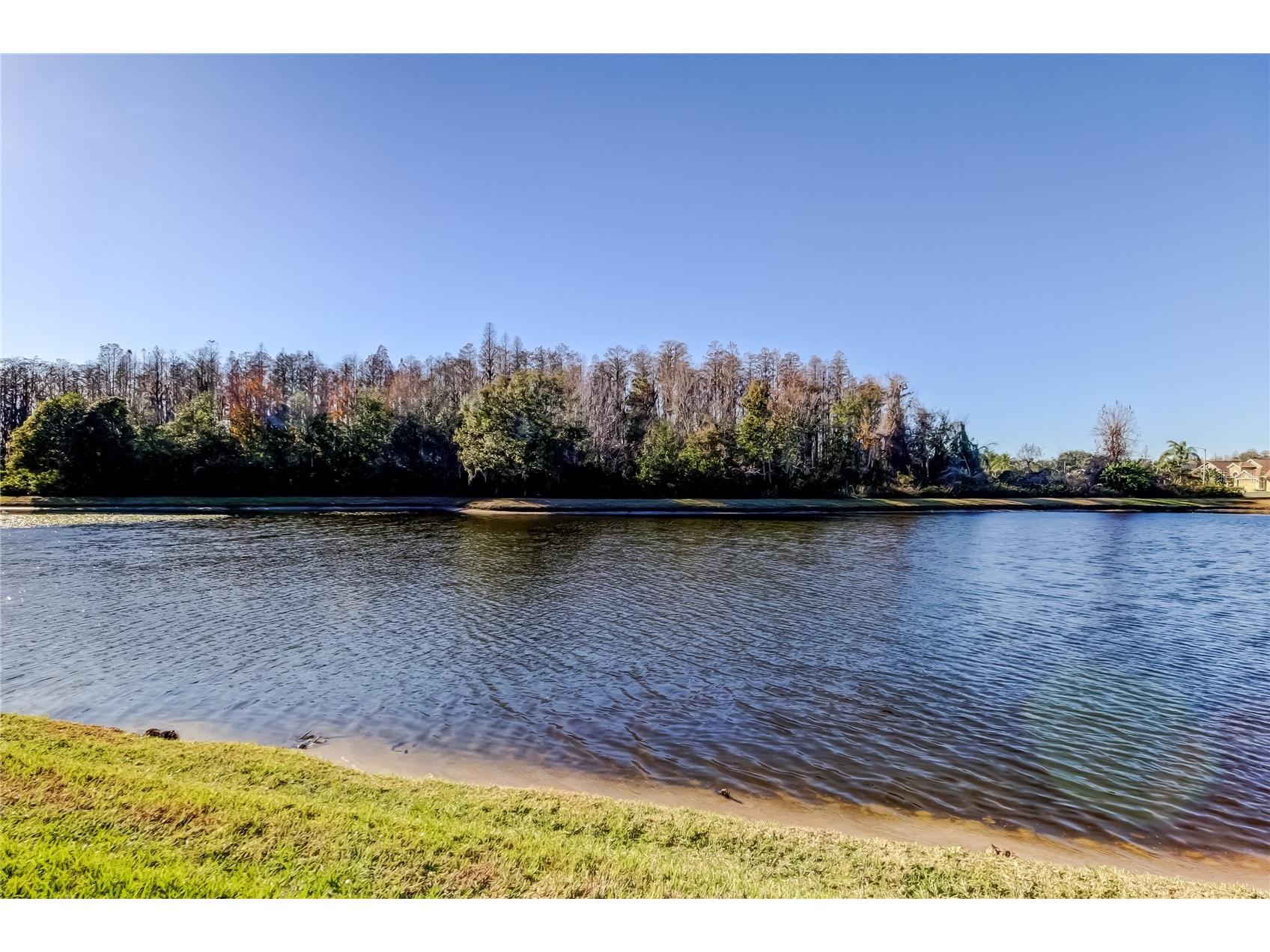 3333 Brenford Place Land O Lakes FL 34638 - THE POND TB8466833 image57