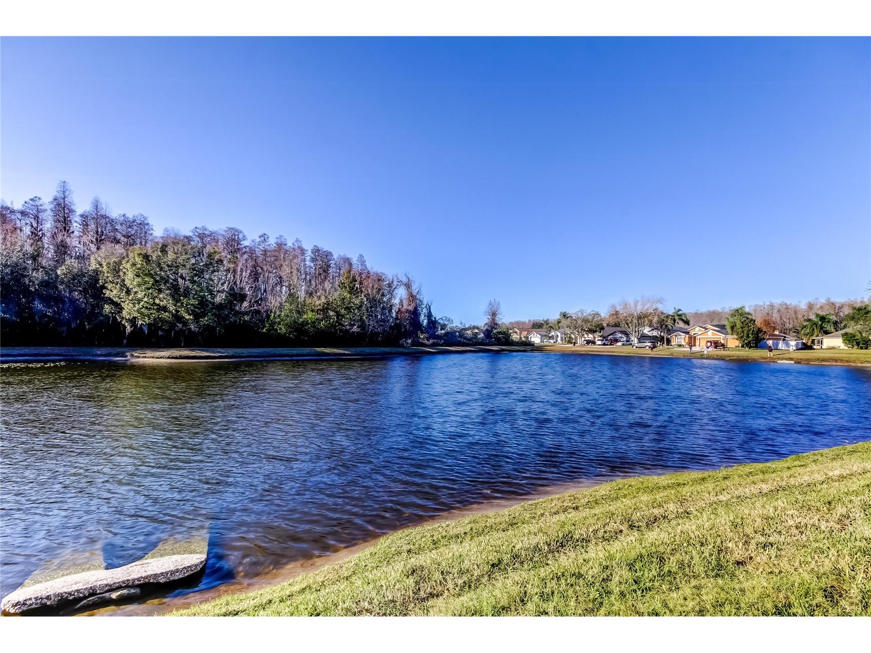 3333 Brenford Place Land O Lakes FL 34638 - THE POND TB8466833 image59