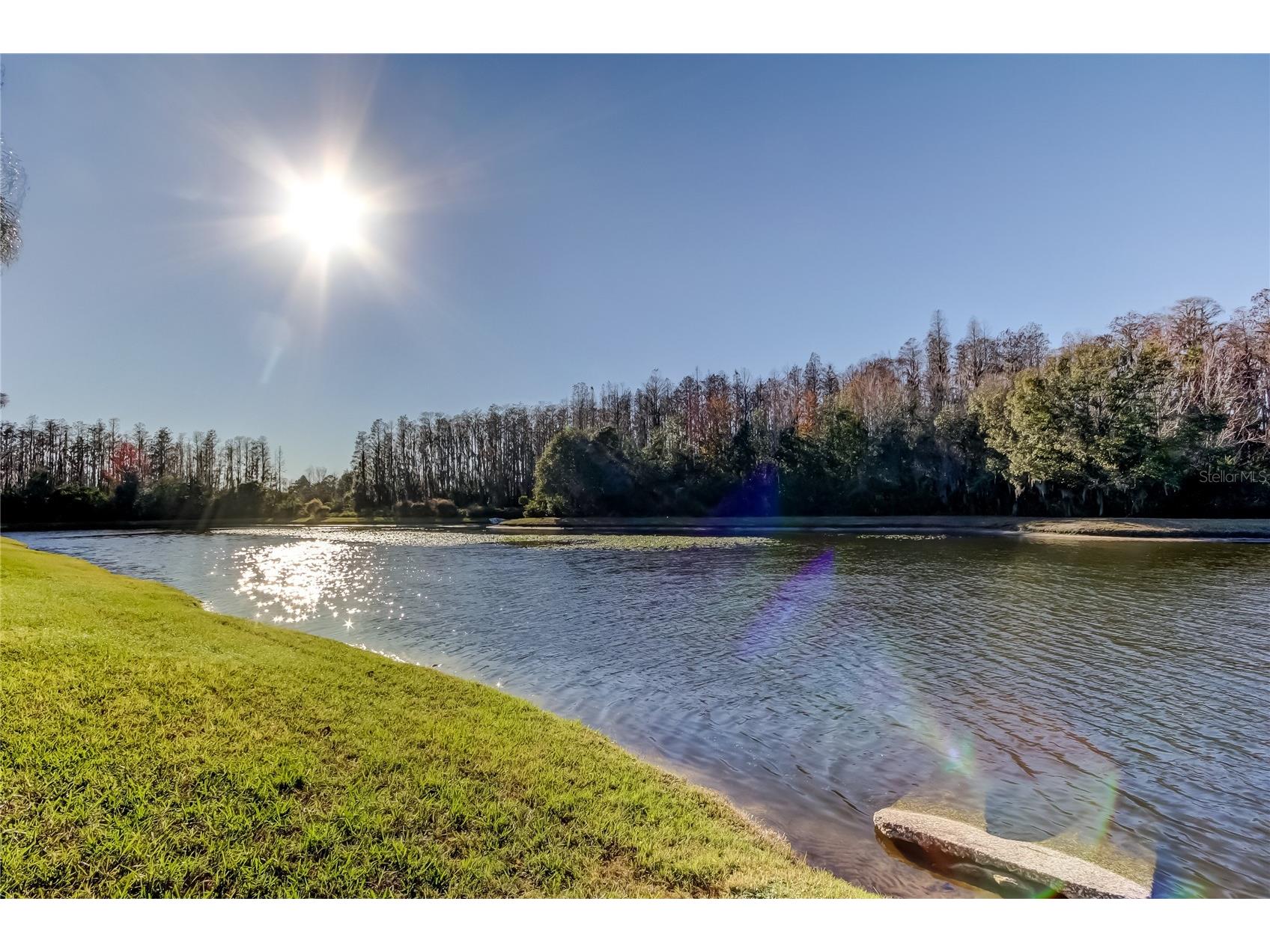 3333 Brenford Place Land O Lakes FL 34638 - THE POND TB8466833 image60