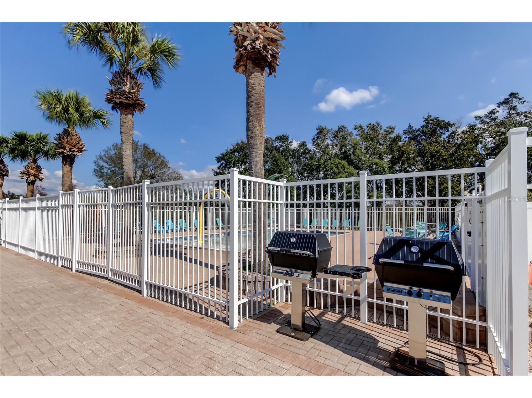 3333 Brenford Place Land O Lakes FL 34638 - THE POND TB8466833 image62