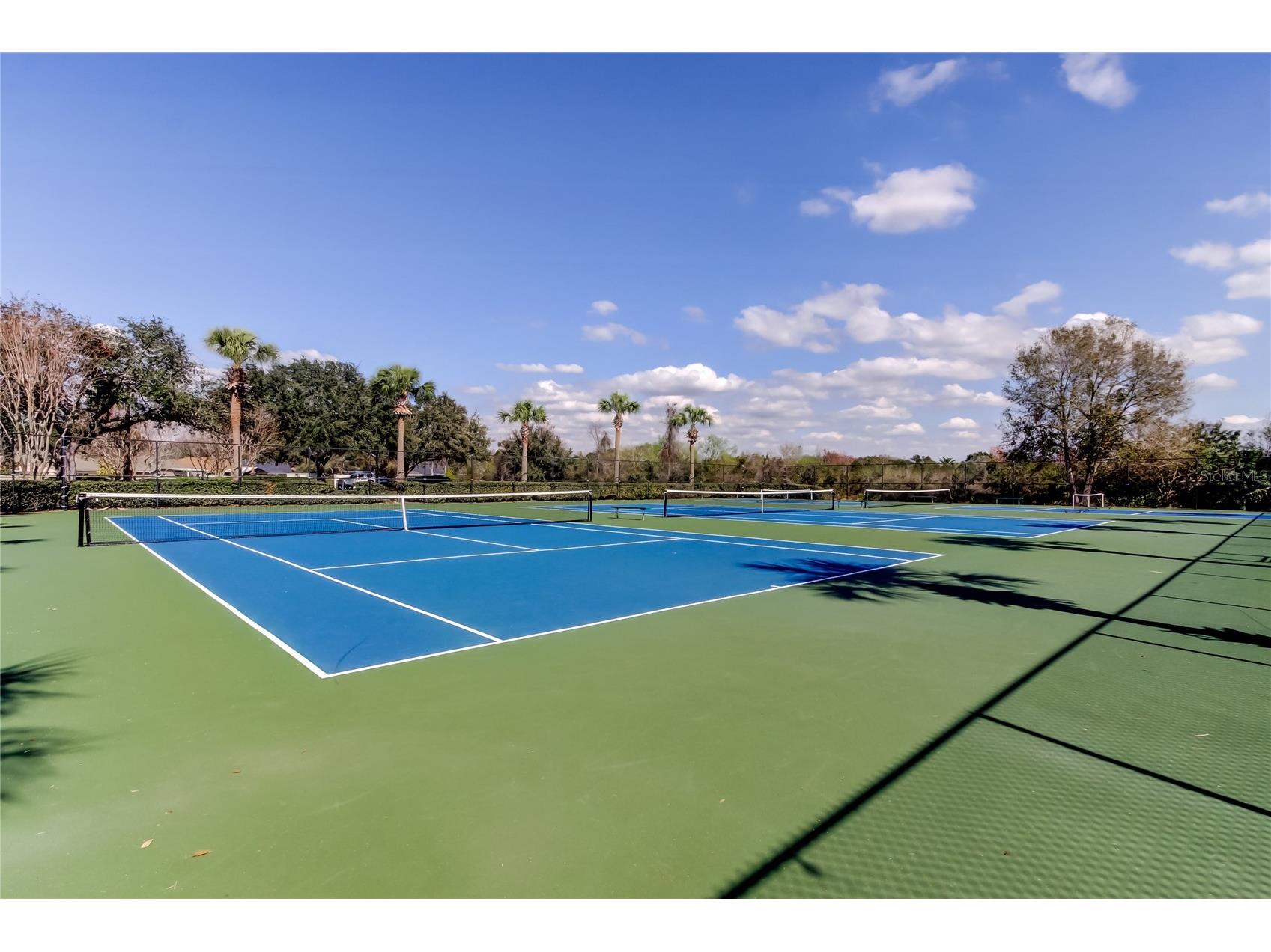 3333 Brenford Place Land O Lakes FL 34638 - THE POND TB8466833 image65