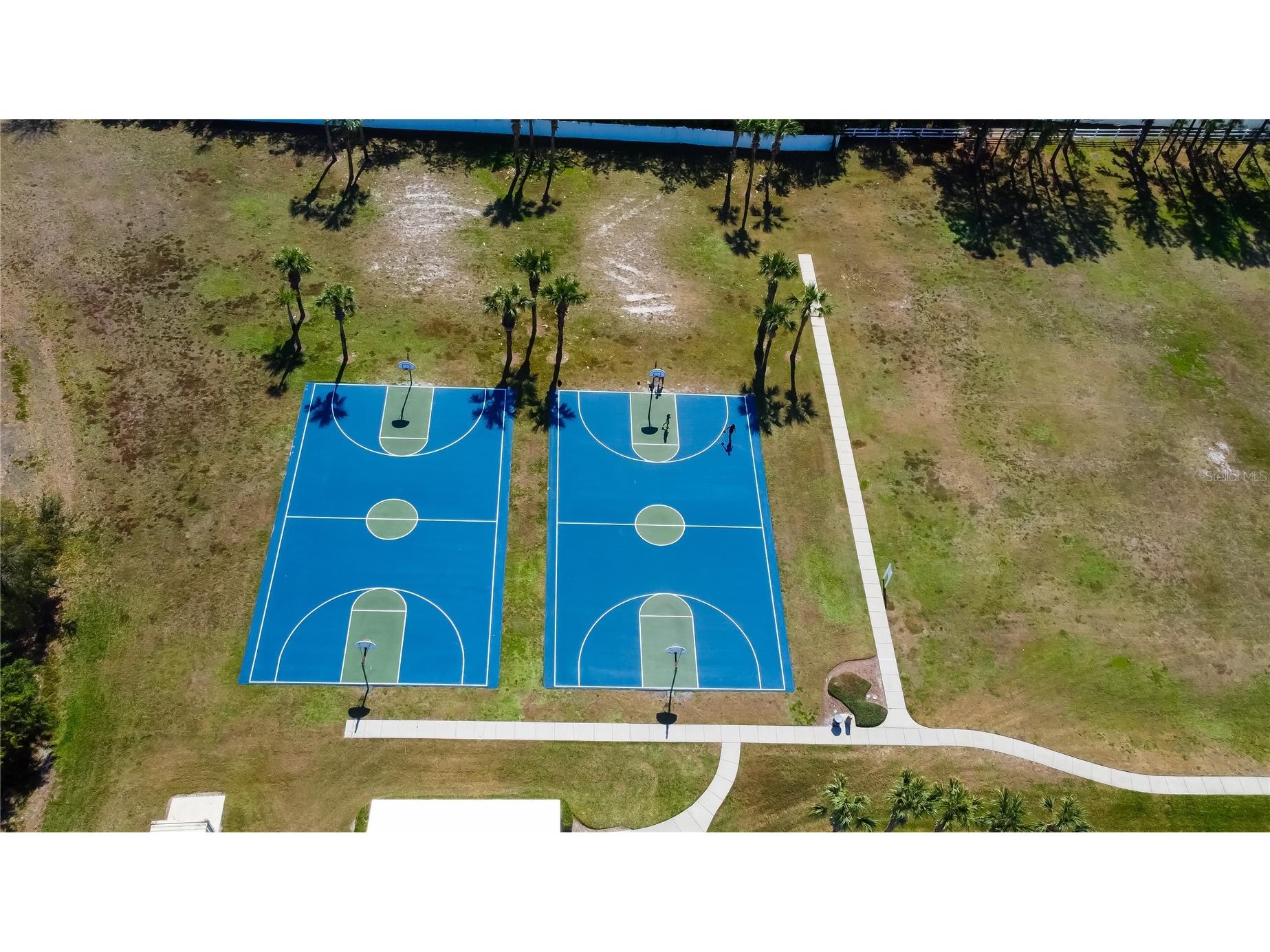 3333 Brenford Place Land O Lakes FL 34638 - THE POND TB8466833 image72
