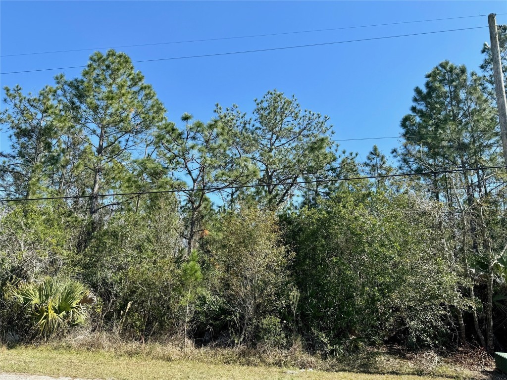 3333 Coronet Avenue Orlando FL 32833 O6175708 image1