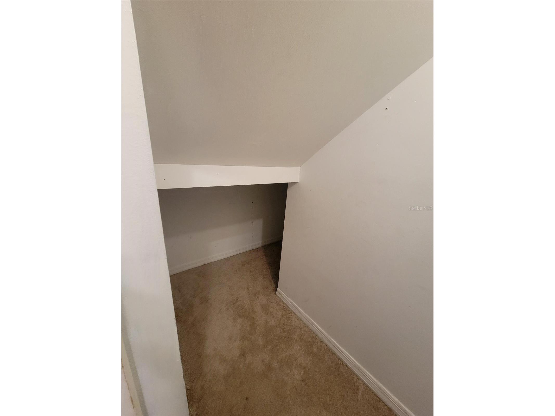 3333 Gray Fox Cove #3333 Apopka FL 32703 O6419600 image14