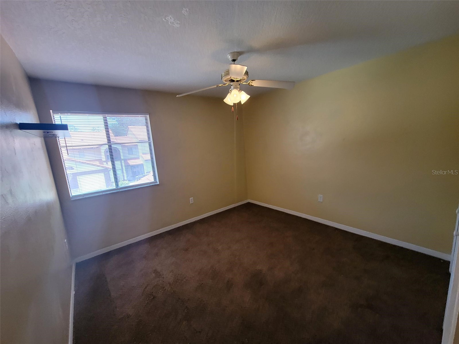 3333 Gray Fox Cove #3333 Apopka FL 32703 O6419600 image21