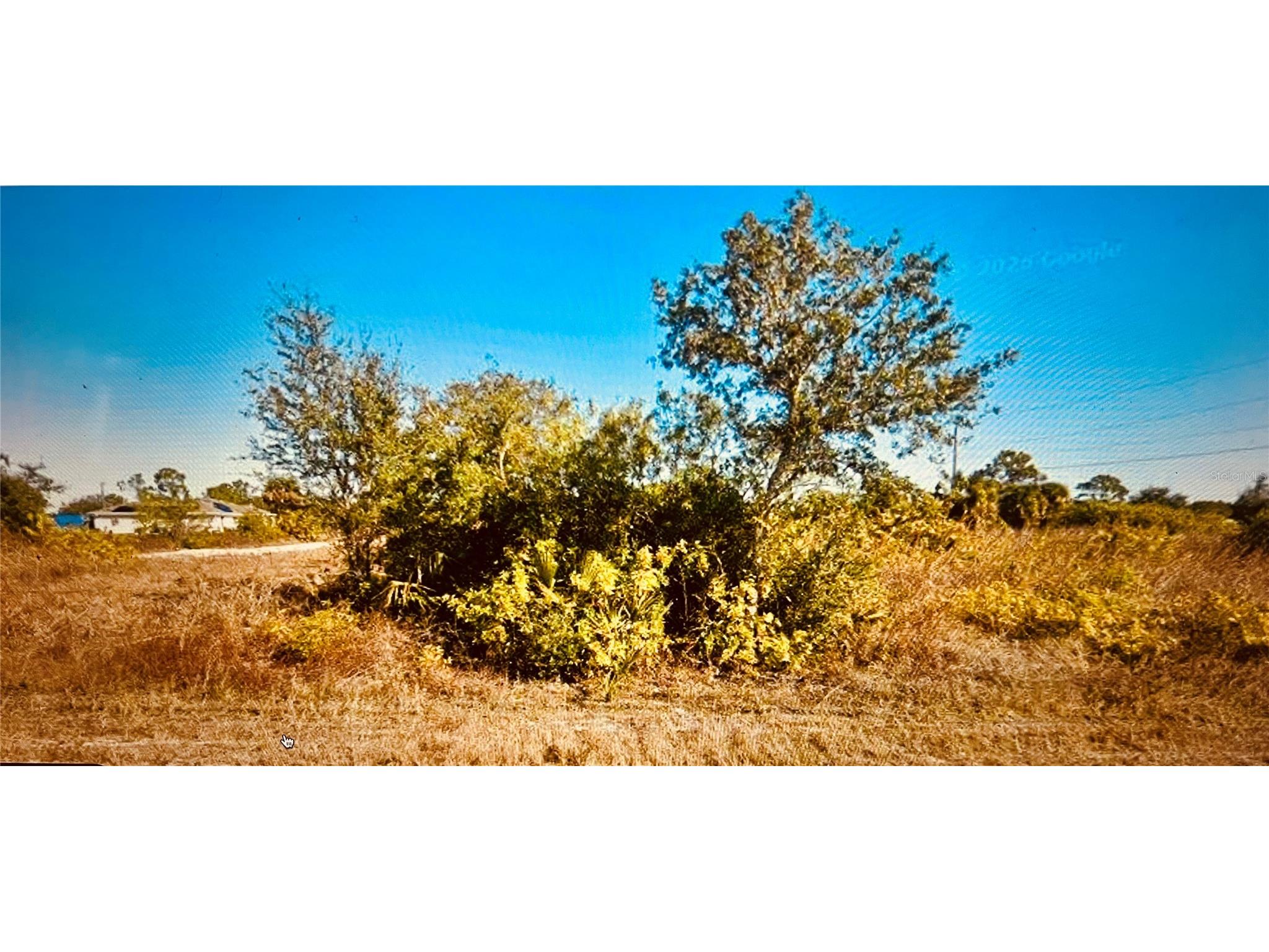 3333 Meadow Road Lehigh Acres FL 33974 O6401778 image2